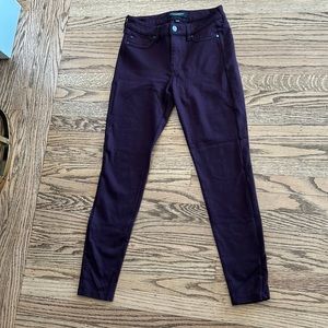 Liverpool ponte pants
